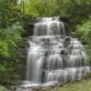Clarendon Falls - Clarendon, NY (June '10)