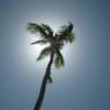Punta Cana, Dominican Republic