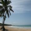 Macao Beach - Punta Cana, Dominican Republic