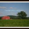 Barton, NY