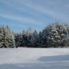 Vestal, NY (January '05)
