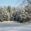 Vestal, NY (January '05)