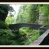 Robert H. Treman State Park