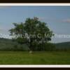 Barton, NY
